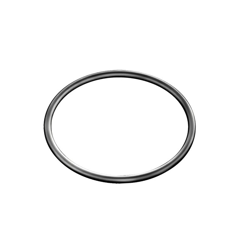 BRP O-Ring (420631610)